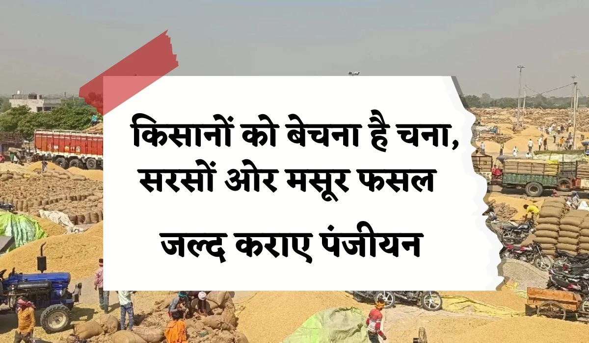 Crop MSP Registration: किसानों को एमएसपी पर चना, सरसों ओर मसूर की बेचने के लिए कराए पंजीयन, केवल इतना समय बाकी