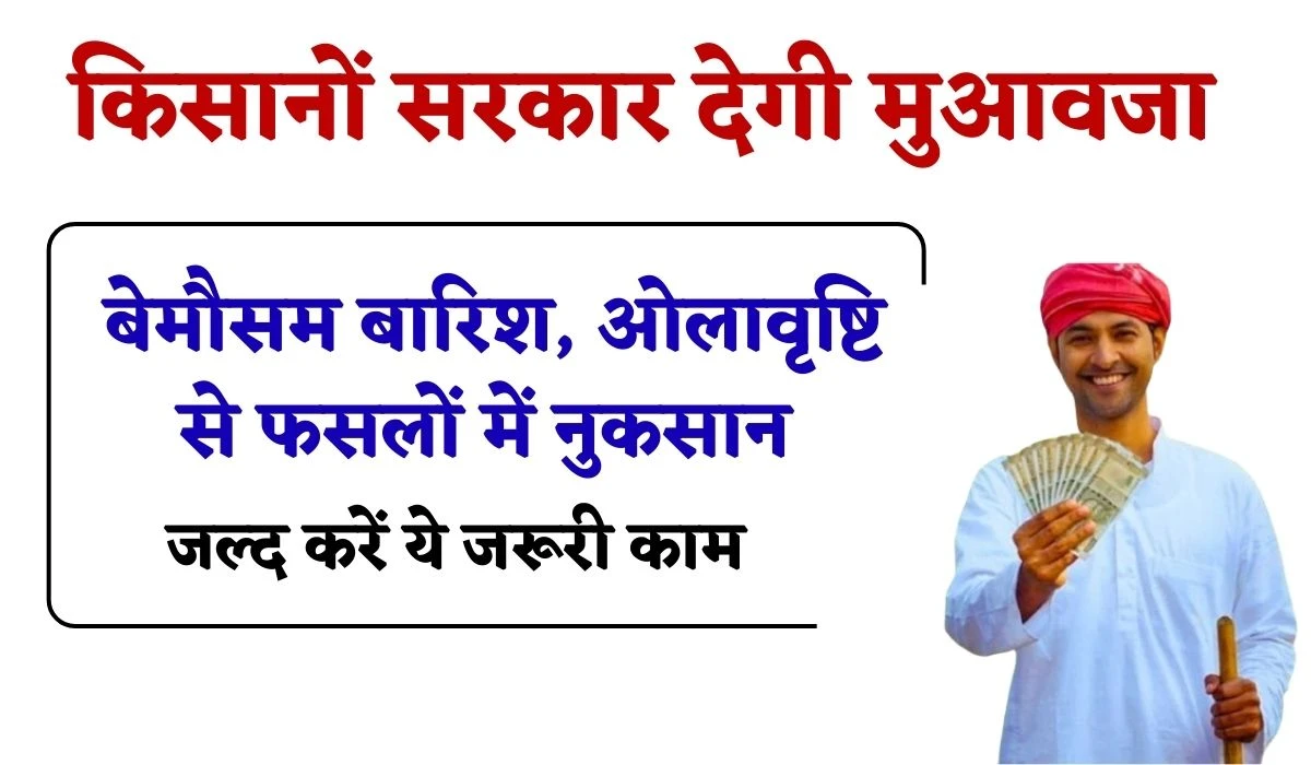 Fasal Muavja 2025: किसानों सरकार देगी मुआवजा, बेमौसम बारिश और ओलावृष्टि से फसलों में नुकसान, जल्द करें ये जरूरी काम