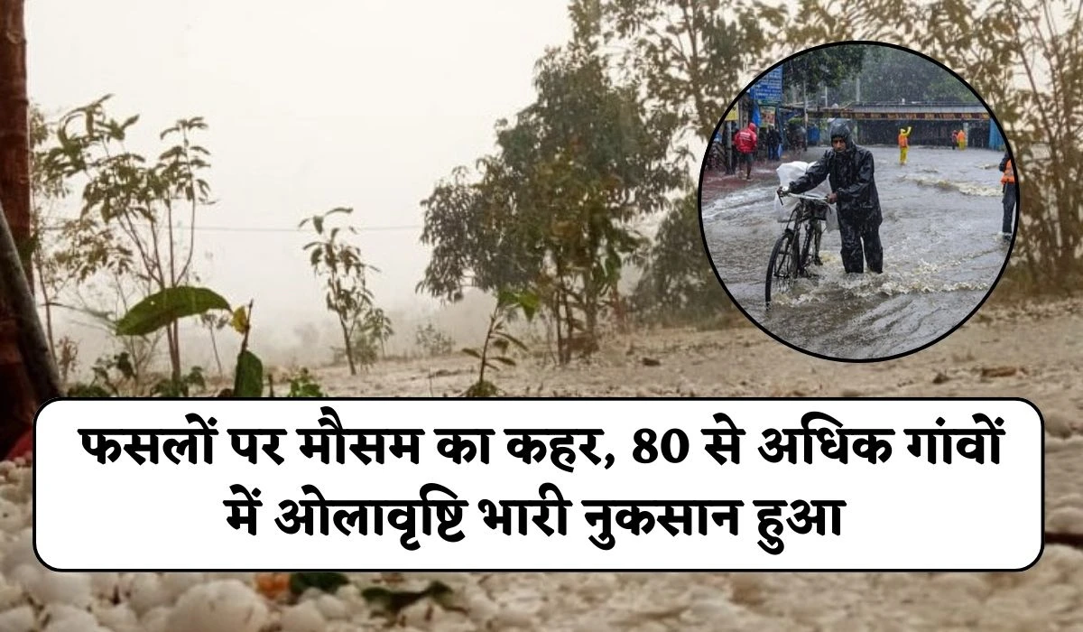 https://haryana.punjabkesari.in/haryana/news/alert-of-rain-on-holi-in-haryana-2119672