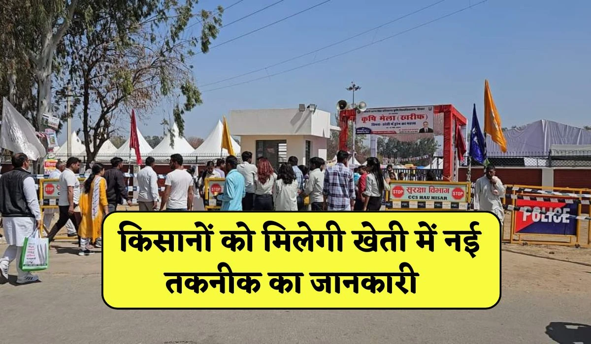 Krishi Mela Hisar: हरियाणा कृषि विश्वविद्यालय में 2 दिन कृषि मेला, किसानों को मिलेगी खेती में नई तकनीक का जानकारी