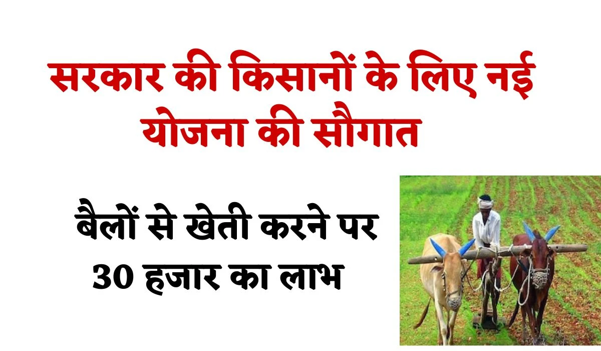 Rajasthan Farmers Good News: सरकार की किसानों को नई योजना की सौगात, मिलेगा बैलों से खेती करने पर 30 हजार का लाभ