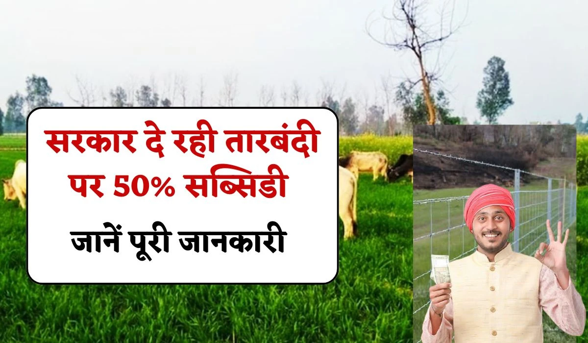 Tarbandi Yojana Subsidy: किसानों के पास सुनहरा अवसर, फसलों की सुरक्षित रखने के लिए तारबंदी पर 50% सब्सिडी