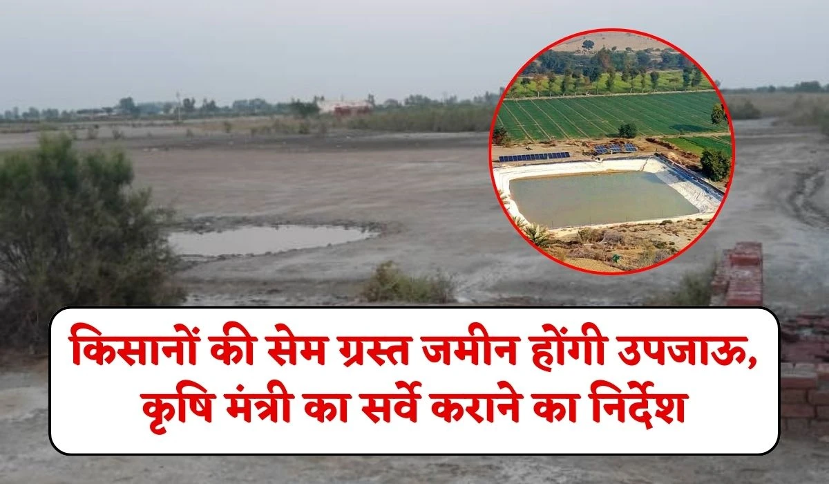 Haryana Farmers News: किसानों की सेम ग्रस्त जमीन होंगी उपजाऊ, कृषि मंत्री की ओर से दिया गया सर्वे कराने का निर्देश