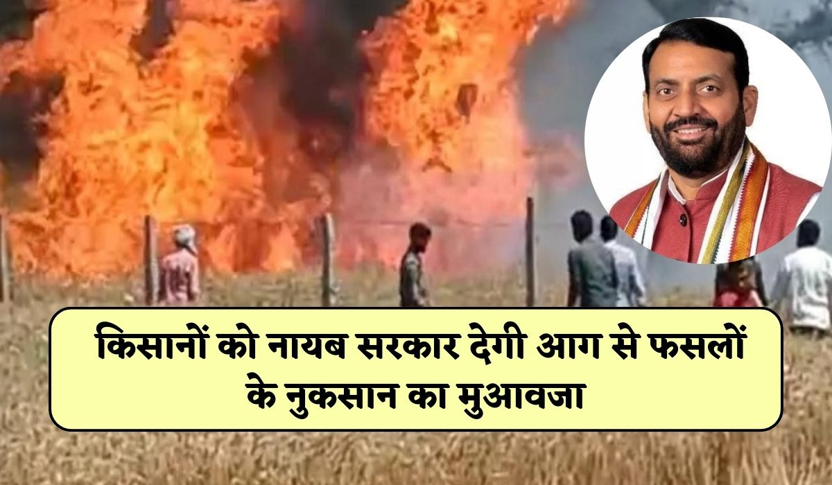 Haryana Wheat Farmers News: किसानों को नायब सरकार देगी आग से फसलों के नुकसान का मुआवजा, मुख्यमंत्री का अधिकारियों को निर्देश