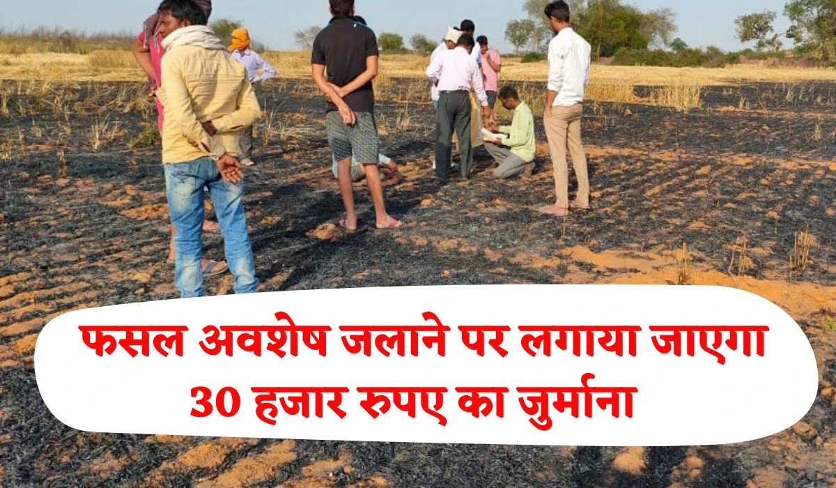 Stubble Burning: गेहूं कटाई के पश्चात फसल अवशेष जलाने पर सख्ती, किसानों पर लगाया जाएगा 30 हजार रुपए का जुर्माना