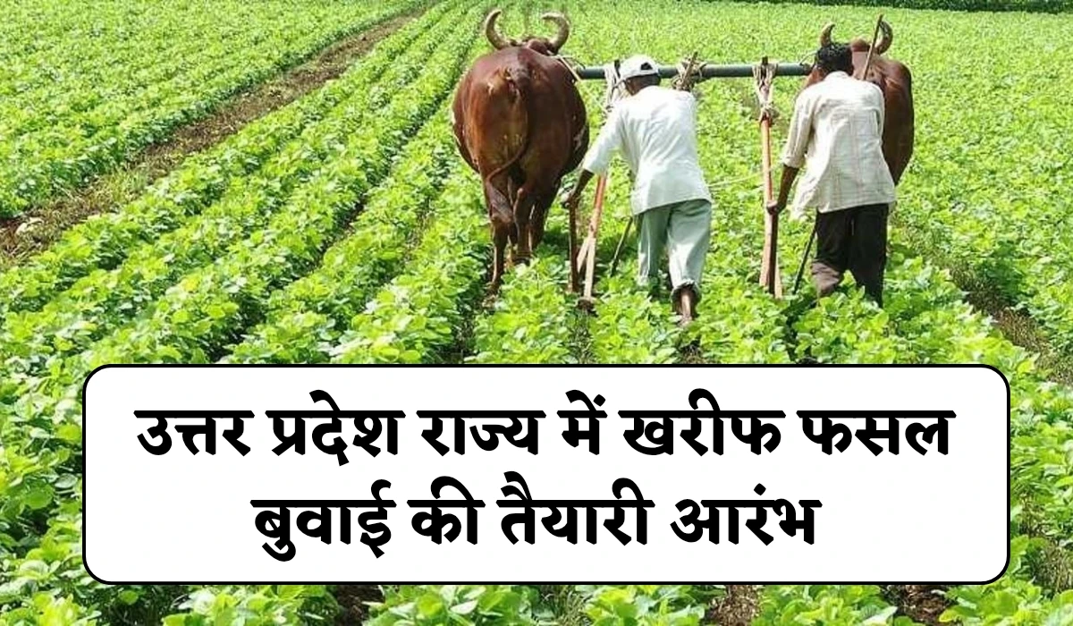 UP Kharif Season Sowing: उत्तर प्रदेश राज्य में खरीफ फसल बुवाई की तैयारी आरंभ, अधिकारियों को कृषि मंत्री ने दिया आदेश