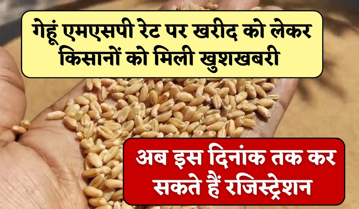 Wheat MSP Registration: गेहूं एमएसपी रेट पर खरीद को लेकर किसानों को मिली खुशखबरी, अब इस दिनांक तक कर सकते हैं रजिस्‍ट्रेशन