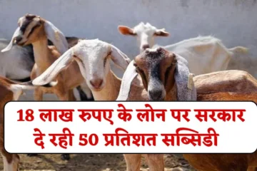 Bakri Palan Loan Yojana: 18 लाख रुपए के लोन पर योगी सरकार दे रही 50 प्रतिशत सब्सिडी, जानें पूरा जानकारी