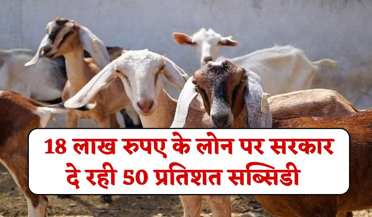 Bakri Palan Loan Yojana: 18 लाख रुपए के लोन पर योगी सरकार दे रही 50 प्रतिशत सब्सिडी, जानें पूरा जानकारी