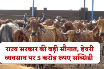Dairy Business Farmers Subsidy: पशुपालकों के लिए राज्य सरकार की बड़ी सौगात, डेयरी व्यवसाय शुरू करें, मिलेगी 5 करोड़ रुपए का सब्सिडी