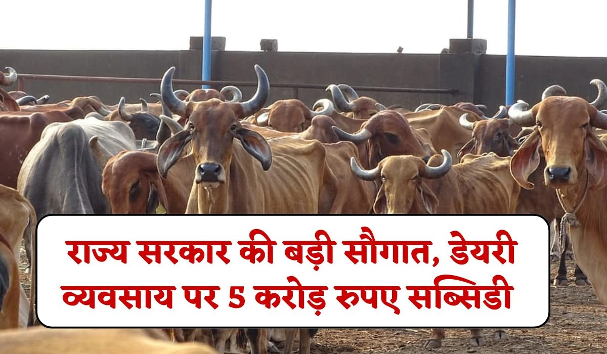 Dairy Business Farmers Subsidy: पशुपालकों के लिए राज्य सरकार की बड़ी सौगात, डेयरी व्यवसाय शुरू करें, मिलेगी 5 करोड़ रुपए का सब्सिडी