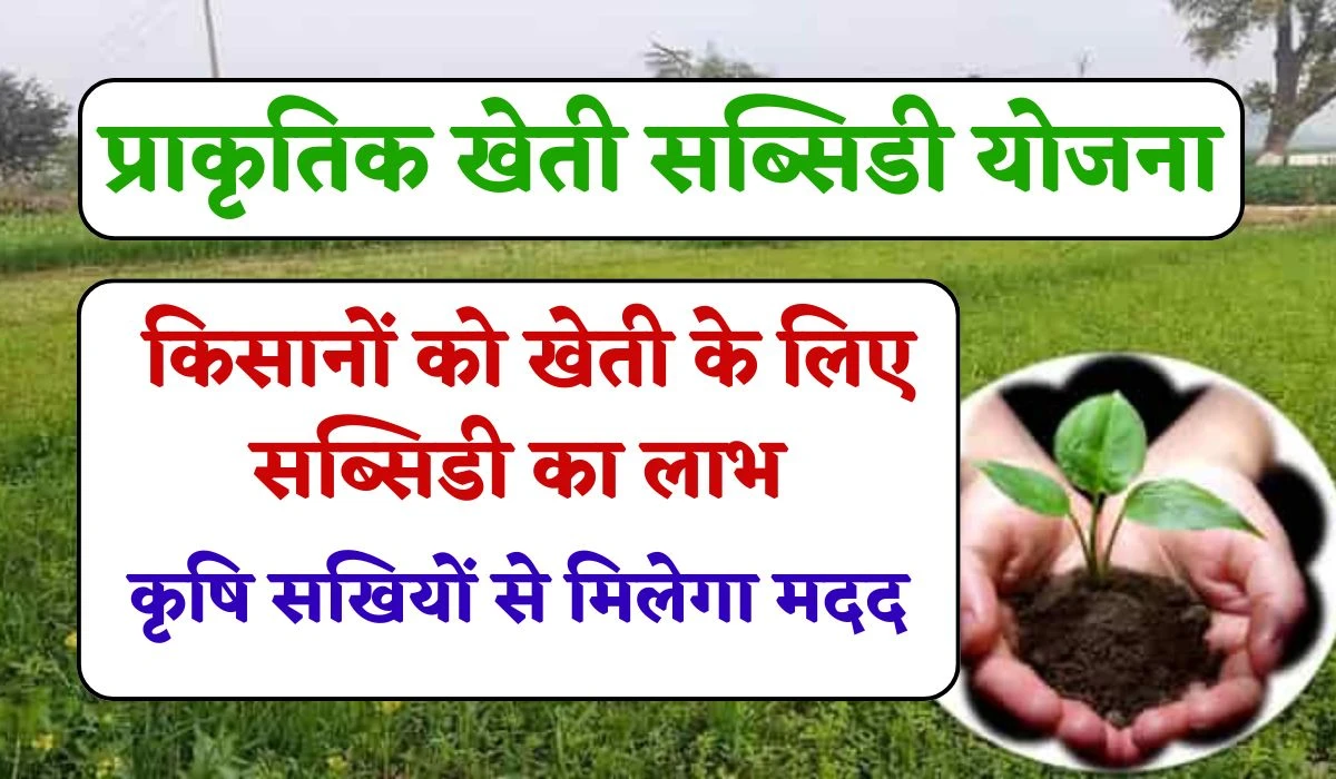 Farmers Natural Farming Subsidy: किसानों प्राकृतिक खेती को अपनाकर पाए सब्सिडी का लाभ, सहायता के लिए मिलेगा कृषि सखियों का साथ