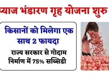 Farmers Onion Storage House: किसानों के लिए दोहरा फायदा, प्याज की अच्छी कीमत के साथ राज्य सरकार से गोदाम निर्माण में 75% सब्सिडी