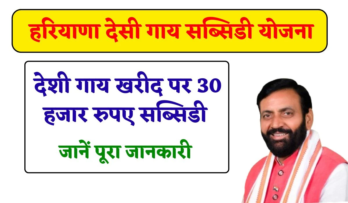 Haryana Desi Cow Scheme: पशुपालकों को सैनी सरकार दे रही देशी गाय पालने पर 30 हजार रुपए सब्सिडी का लाभ, जानें योजना से जुड़ी जानकारी