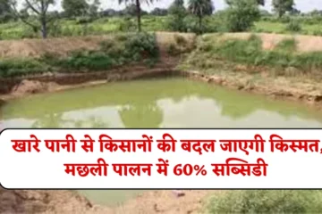 Haryana Fish Farming Scheme : खारे पानी वाली जमीन में किसानों की बदल जाएगी किस्मत, मछली पालन योजना में 60% सब्सिडी का फायदा