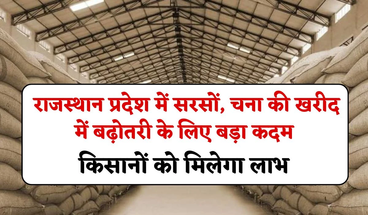 Rajasthan Farmer Benefits: राजस्थान प्रदेश में सरसों, चना की खरीद में बढ़ोतरी के लिए बड़ा कदम, किसानों को मिलेगा लाभ