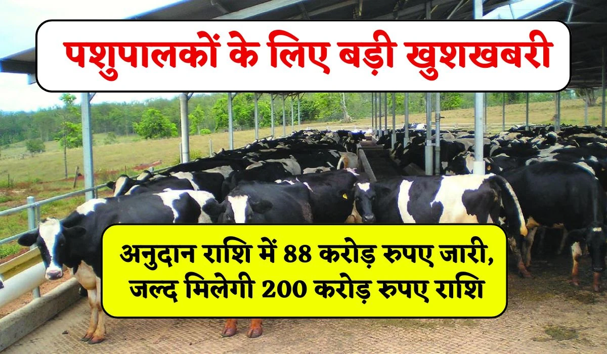 Rajasthan Farmers Good News: पशुपालकों के लिए बड़ी खुशखबरी, अनुदान राशि में जारी हुआ 88 करोड़ रुपए, 200 करोड़ रुपए राशि जल्द हो जाएगी जारी