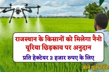 Rajasthan Sarkari Yojana: राजस्थान के किसानों को मिलेगा नैनो यूरिया छिड़काव पर अनुदान, प्रति हेक्टेयर 2 हजार रुपए के लिए, जानें पूरी डिटेल