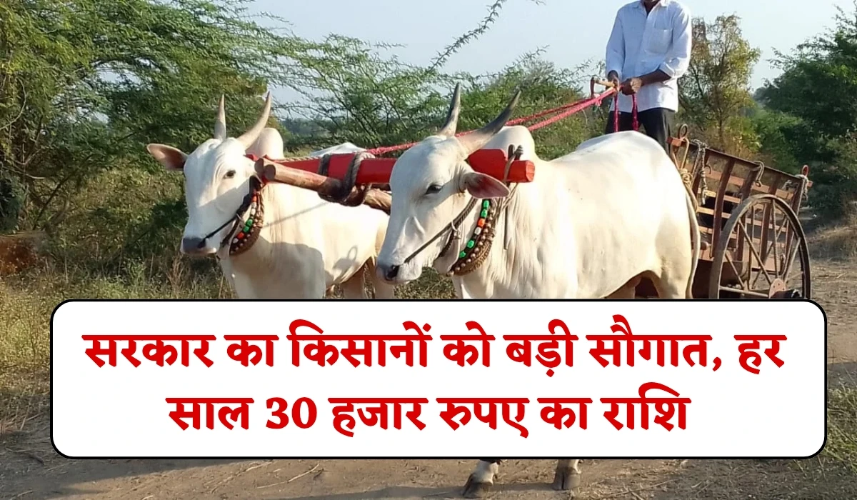 Rajasthan Sarkari Yojana: राजस्थान भजनलाल सरकार का किसानों को बड़ी सौगात, हर साल दिया जाएगा 30 हजार रुपए का राशि, जानें योजना का डिटेल