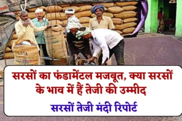 Sarso Rate Report: सरसों का फंडामेंटल मजबूत, सरसों के भाव में हैं तेजी की उम्मीद, जानें सरसों तेजी मंदी रिपोर्ट