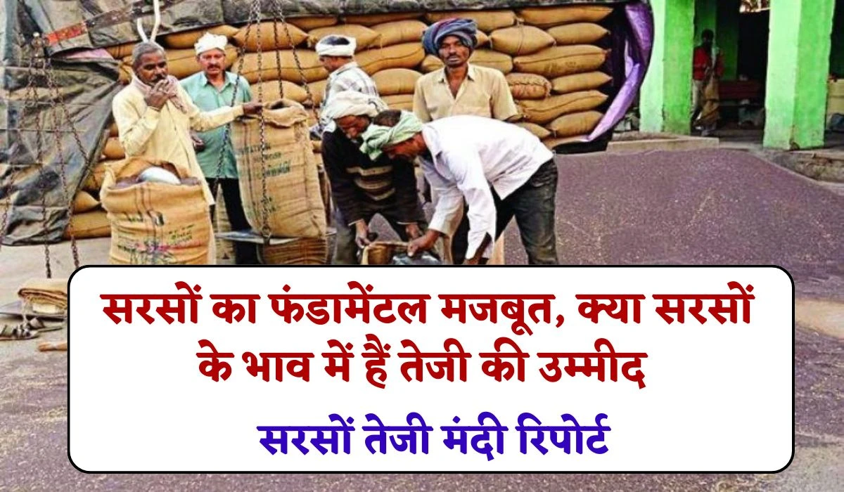 Sarso Rate Report: सरसों का फंडामेंटल मजबूत, सरसों के भाव में हैं तेजी की उम्मीद, जानें सरसों तेजी मंदी रिपोर्ट