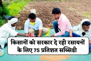 Seed Treatment Subsidy: किसानों को सरकार दे रही रसायनों के लिए 75 प्रतिशत सब्सिडी, बीजोपचार करने पर मिलेगा बंपर पैदावार व रोग से मुक्त