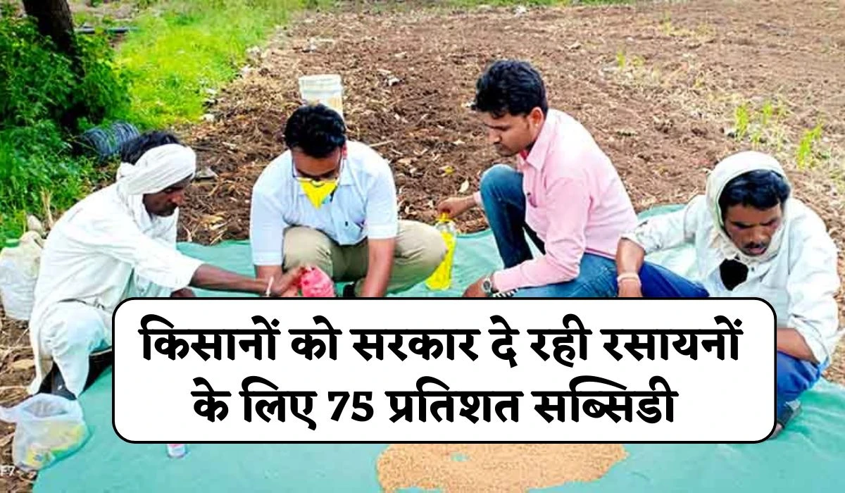 Seed Treatment Subsidy: किसानों को सरकार दे रही रसायनों के लिए 75 प्रतिशत सब्सिडी, बीजोपचार करने पर मिलेगा बंपर पैदावार व रोग से मुक्त