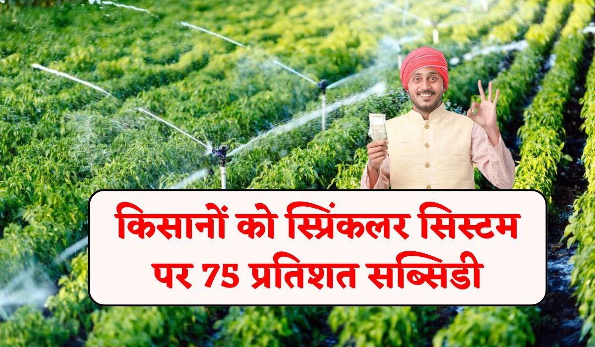 Sprinkler Irrigation Subsidy Scheme: राजस्थान किसानों को भजनलाल सरकार से स्प्रिंकलर पर 75 प्रतिशत सब्सिडी, खेतों में नहीं रहेगी सिंचाई के समस्या