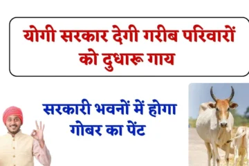 UP Poor Families News: योगी सरकार गरीब परिवारों को देगी दुधारू गाय, सरकारी भवनों में होगा गोबर का पेंट