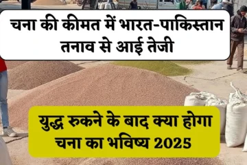 चना की कीमत में भारत-पाकिस्तान तनाव से आई तेजी, युद्ध रुकने के बाद क्या होगा चना का भविष्य 2025