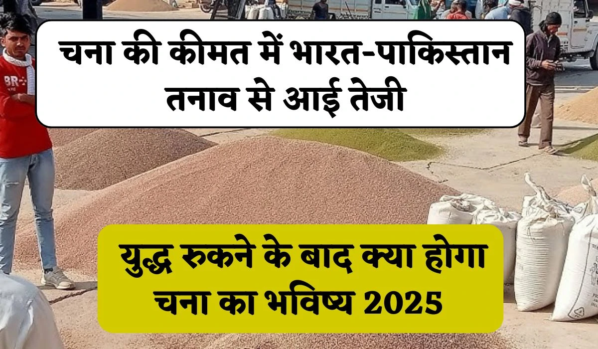 चना की कीमत में भारत-पाकिस्तान तनाव से आई तेजी, युद्ध रुकने के बाद क्या होगा चना का भविष्य 2025