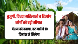 Bihar Pension Latest Update: राज्य के बुजुर्गों, विधवा महिलाओं व दिव्यांग लोगों को लेकर मुख्यमंत्री की बड़ी सौगात, पेंशन को बढ़ाया, हर महीने 10 दिनांक से मिलेगा