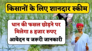Haryana Farmers Scheme: किसानों के लिए सरकार की शानदार स्कीम, धान की फसल छोड़ने पर मिलेगा 8 हजार रुपए, जानें आवेदन व जरूरी जानकारी