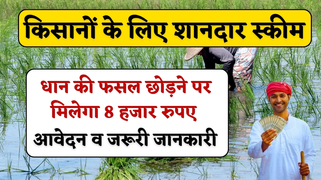 Haryana Farmers Scheme: किसानों के लिए सरकार की शानदार स्कीम, धान की फसल छोड़ने पर मिलेगा 8 हजार रुपए, जानें आवेदन व जरूरी जानकारी
