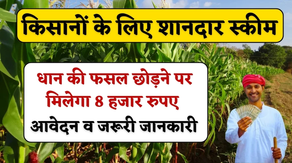 Haryana Farmers Scheme: किसानों के लिए सरकार की शानदार स्कीम, धान की फसल छोड़ने पर मिलेगा 8 हजार रुपए, जानें आवेदन व जरूरी जानकारी