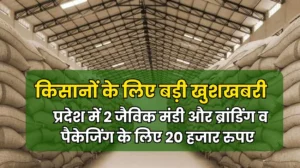Haryana Jaivik Mandi: किसानों के लिए बड़ी खुशखबरी, मुख्यमंत्री का फैसला प्रदेश में 2 जैविक मंडी और ब्रांडिंग व पैकेजिंग के लिए 20 हजार रुपए