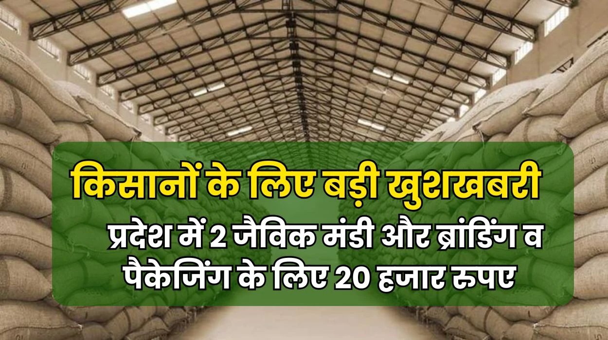 Haryana Jaivik Mandi: किसानों के लिए बड़ी खुशखबरी, मुख्यमंत्री का फैसला प्रदेश में 2 जैविक मंडी और ब्रांडिंग व पैकेजिंग के लिए 20 हजार रुपए