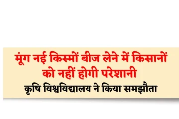 Moong Variety Update: मूंग नई किस्मों बीज लेने में किसानों को नहीं होगी परेशानी, कृषि विश्वविद्यालय के समझौता में प्राइवेट कंपनी शामिल