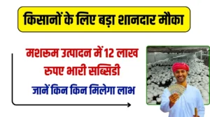 Mushroom Farming Subsidy: किसानों को राज्य सरकार दे रही मशरूम उत्पादन के लिए 12 लाख रुपए की भारी सब्सिडी, अभी करें आवेदन, जानें किन किन मिलेगा लाभ