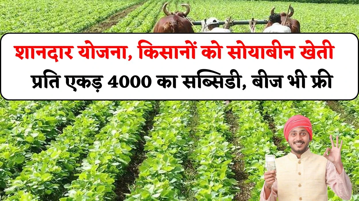 किसानों के लिए शानदार योजना, राज्य में नई योजना से मिलेगा सोयाबीन खेती में प्रति एकड़ 4000 का सब्सिडी, बीज भी फ्री, जानें सोयाबीन खेती सब्सिडी योजना