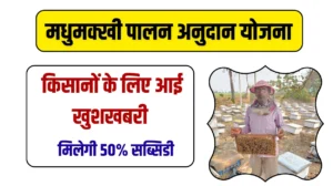 किसानों को मधुमक्खी पालन करने के लिए सुनहरा अवसर, राज्य सरकार से मिलेगा 50% तक का अनुदान, जाने कब से और कहां करें आवेदन