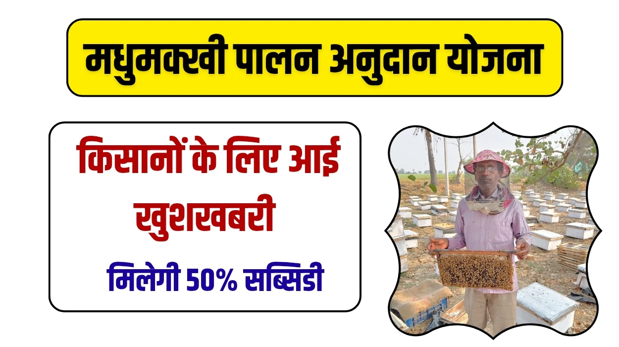 किसानों को मधुमक्खी पालन करने के लिए सुनहरा अवसर, राज्य सरकार से मिलेगा 50% तक का अनुदान, जाने कब से और कहां करें आवेदन