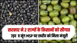 केंद्र सरकार ने 2 राज्यों में उड़द व मूंग MSP पर खरीद को मिला मंजूरी, किसानों को मिलेगा एमएसपी रेट, जानें पूरी अपडेट