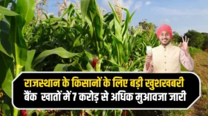 राजस्थान प्रदेश के 16000 किसानों के लिए बड़ी खुशखबरी, बैंक खातों में खराब फसल का 7 करोड़ 62 लाख रुपए मुआवजा राशि जारी