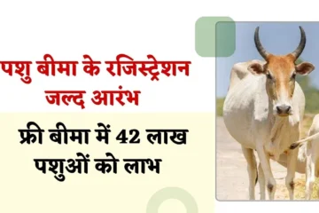 राजस्थान सरकार जल्द करेगी पशु बीमा के रजिस्ट्रेशन आरंभ, फ्री बीमा में 42 लाख पशुओं होगें शामिल