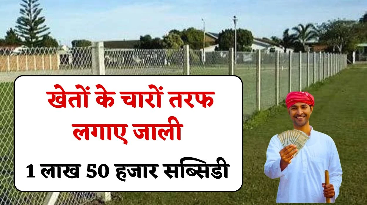 Farmers Fencing Subsidy: किसानों की बल्ले बल्ले, खेतों के चारों तरफ लगाए जाली, सरकार से मिलेगा 1 लाख 50 हजार रुपए का सब्सिडी