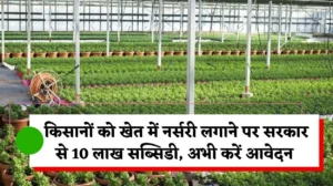 Farmers Nursery Subsidy