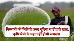 Haryana DAP Urea Update : किन किन जिलों के किसानों को मिलेगी जल्द यूरिया व डीएपी खाद, कृषि मंत्री ने कहा नहीं होगी समस्या