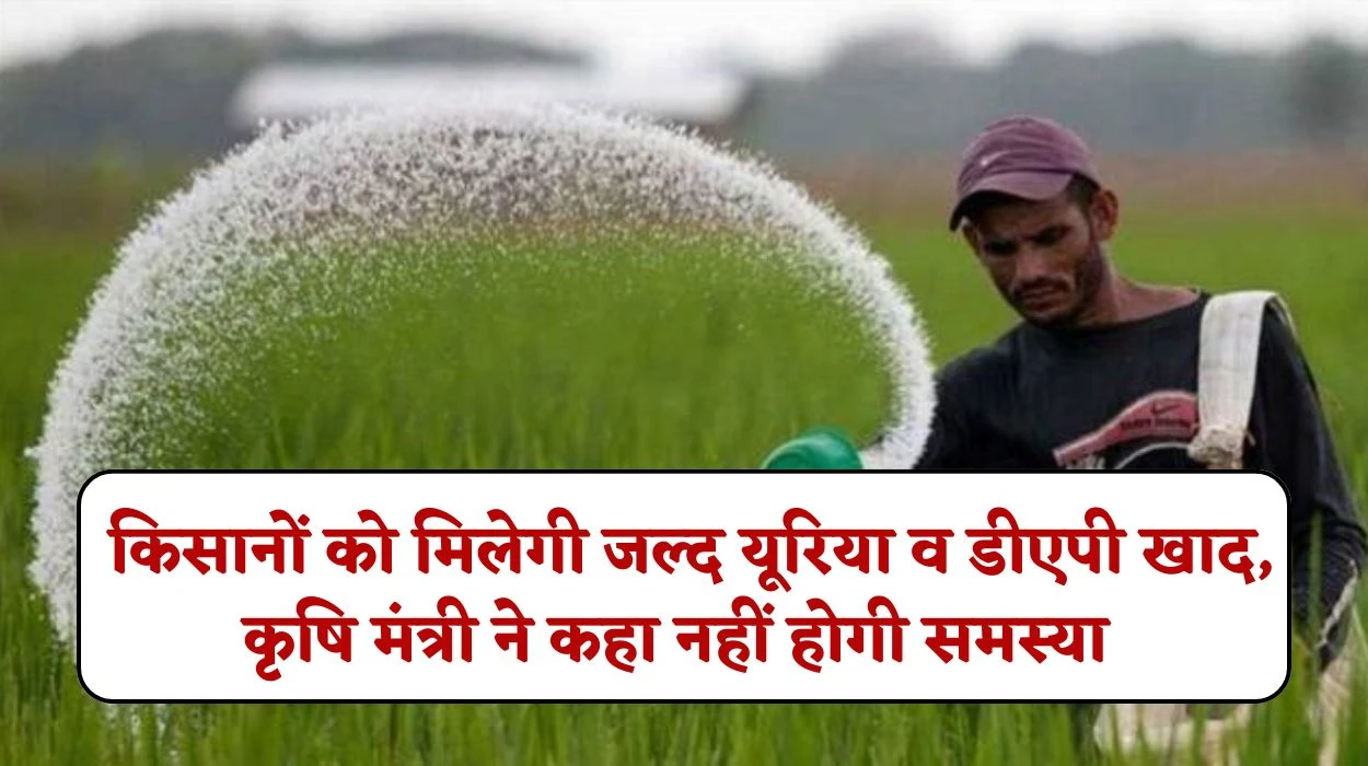 Haryana DAP Urea Update : किन किन जिलों के किसानों को मिलेगी जल्द यूरिया व डीएपी खाद, कृषि मंत्री ने कहा नहीं होगी समस्या