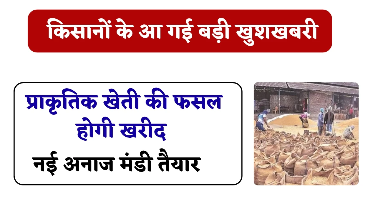 Haryana New grain Market: किसानों के आ गई बड़ी खुशखबरी, हरियाणा के गुरुग्राम में प्राकृतिक खेती से मिली फसल खरीदने के लिए नई अनाज मंडी तैयार